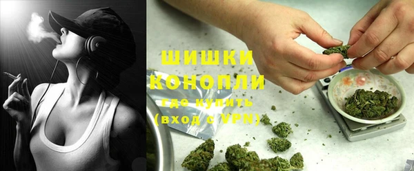 PSILOCYBIN Алексеевка