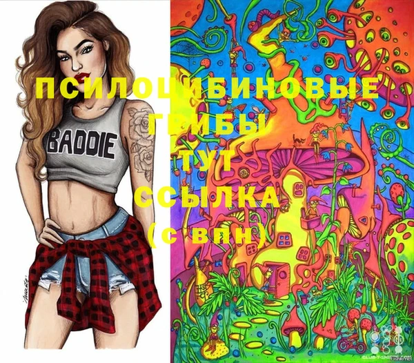 эйфоретик Абинск