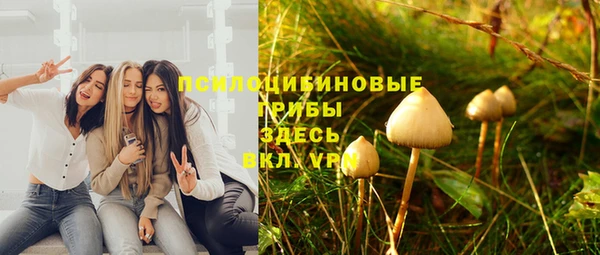 эйфоретик Абинск
