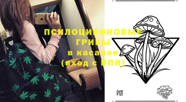 СК Абдулино