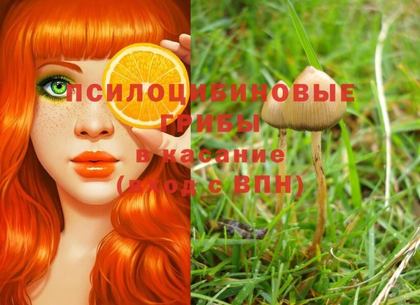 прущий лед Каменногорск